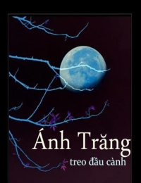 Ánh Trăng Treo Đầu Cành