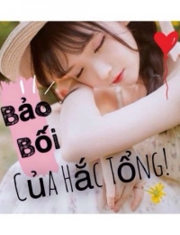  Bảo Bối Của Hắc Tổng