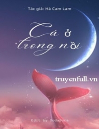 Cá Ở Trong Nồi