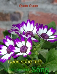 Cuộc Sống Mới - Ly Hôn Vẫn Phải Sống