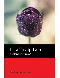 Hoa Tulip Đen