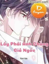 Lấy Phải Anh Chồng Giả Ngốc