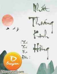 Nhất Thoáng Kinh Hồng